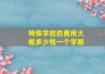 特殊学校的费用大概多少钱一个学期