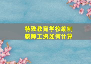 特殊教育学校编制教师工资如何计算