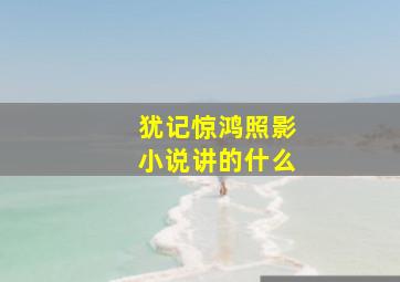 犹记惊鸿照影小说讲的什么