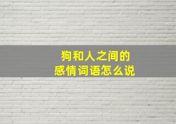 狗和人之间的感情词语怎么说