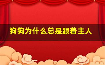 狗狗为什么总是跟着主人