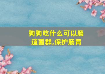 狗狗吃什么可以肠道菌群,保护肠胃