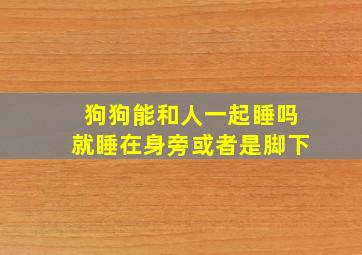 狗狗能和人一起睡吗就睡在身旁或者是脚下