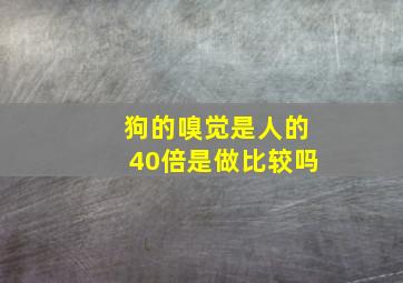 狗的嗅觉是人的40倍是做比较吗