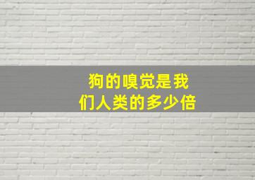 狗的嗅觉是我们人类的多少倍