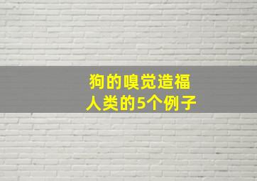 狗的嗅觉造福人类的5个例子