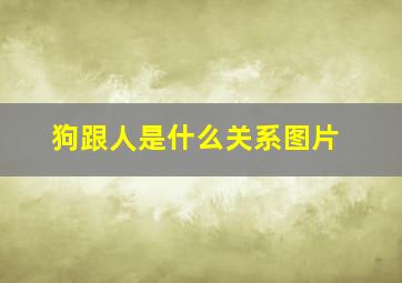 狗跟人是什么关系图片