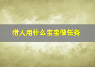 猎人用什么宝宝做任务