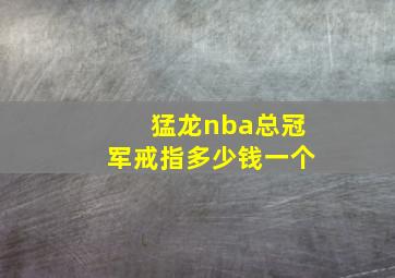 猛龙nba总冠军戒指多少钱一个