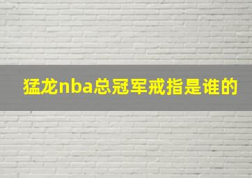 猛龙nba总冠军戒指是谁的