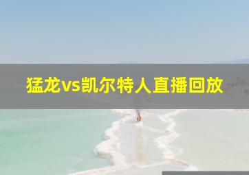 猛龙vs凯尔特人直播回放