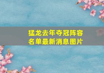 猛龙去年夺冠阵容名单最新消息图片