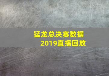 猛龙总决赛数据2019直播回放