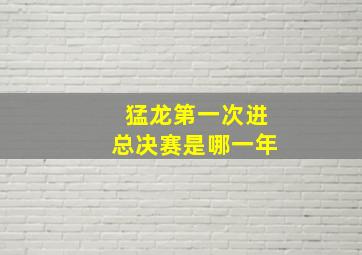 猛龙第一次进总决赛是哪一年