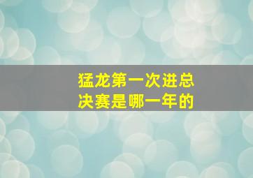 猛龙第一次进总决赛是哪一年的