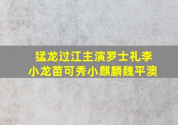 猛龙过江主演罗士礼李小龙苗可秀小麒麟魏平澳