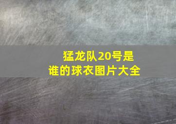 猛龙队20号是谁的球衣图片大全