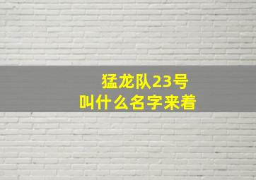 猛龙队23号叫什么名字来着