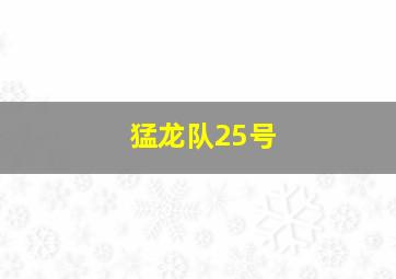 猛龙队25号