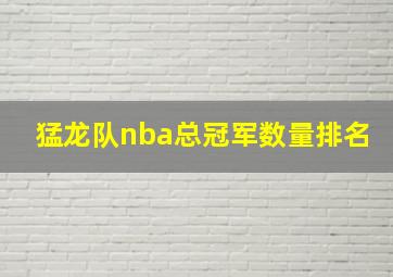 猛龙队nba总冠军数量排名