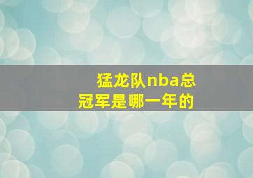 猛龙队nba总冠军是哪一年的