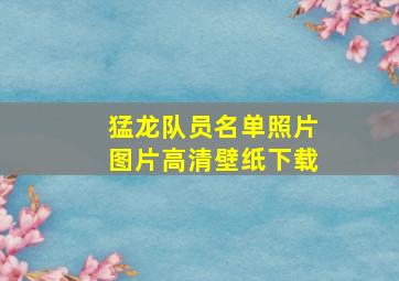 猛龙队员名单照片图片高清壁纸下载