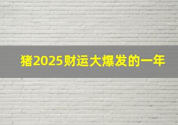 猪2025财运大爆发的一年