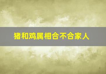 猪和鸡属相合不合家人