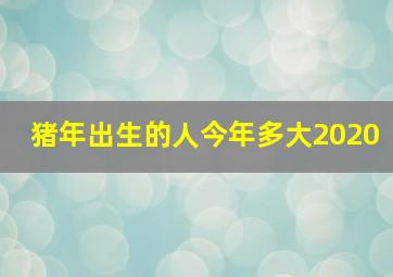 猪年出生的人今年多大2020