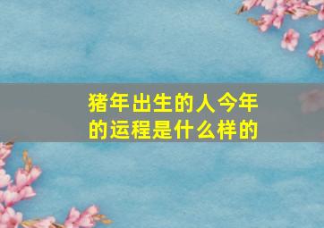 猪年出生的人今年的运程是什么样的