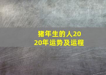 猪年生的人2020年运势及运程