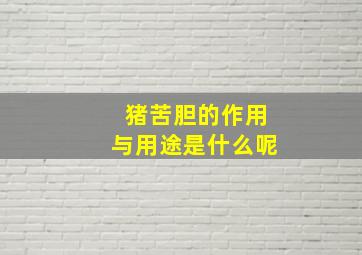 猪苦胆的作用与用途是什么呢