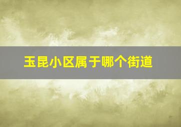 玉昆小区属于哪个街道