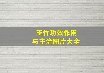 玉竹功效作用与主治图片大全