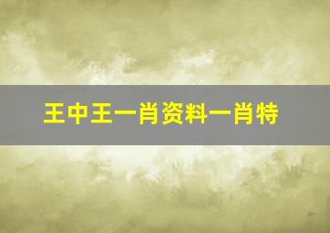 王中王一肖资料一肖特