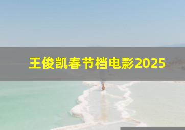 王俊凯春节档电影2025