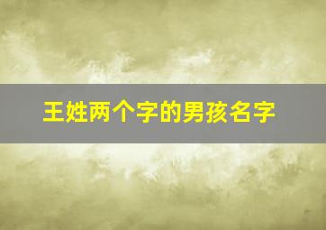 王姓两个字的男孩名字