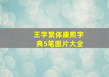 王字繁体康熙字典5笔图片大全