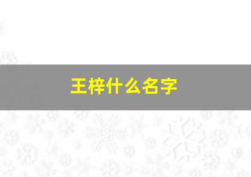 王梓什么名字