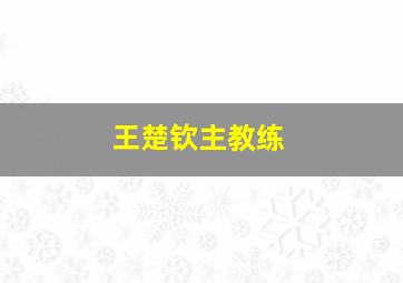 王楚钦主教练