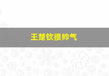 王楚钦很帅气