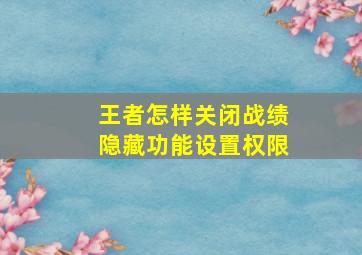 王者怎样关闭战绩隐藏功能设置权限