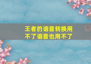 王者的语音转换用不了语音也用不了