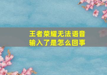 王者荣耀无法语音输入了是怎么回事