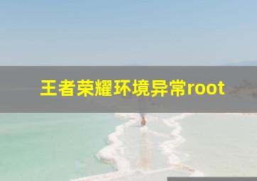 王者荣耀环境异常root