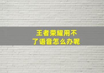 王者荣耀用不了语音怎么办呢