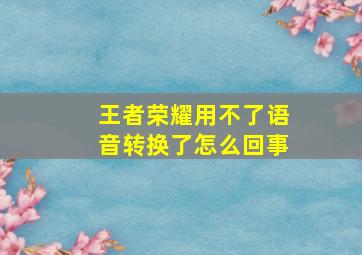 王者荣耀用不了语音转换了怎么回事