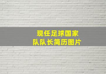 现任足球国家队队长简历图片