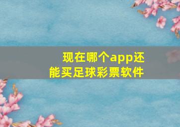 现在哪个app还能买足球彩票软件