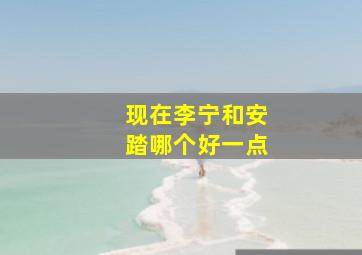 现在李宁和安踏哪个好一点